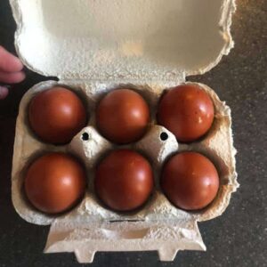 Black copper maran eggs