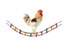 best chicken swing ladder