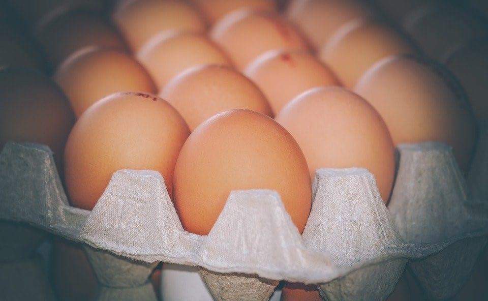eggs in tray