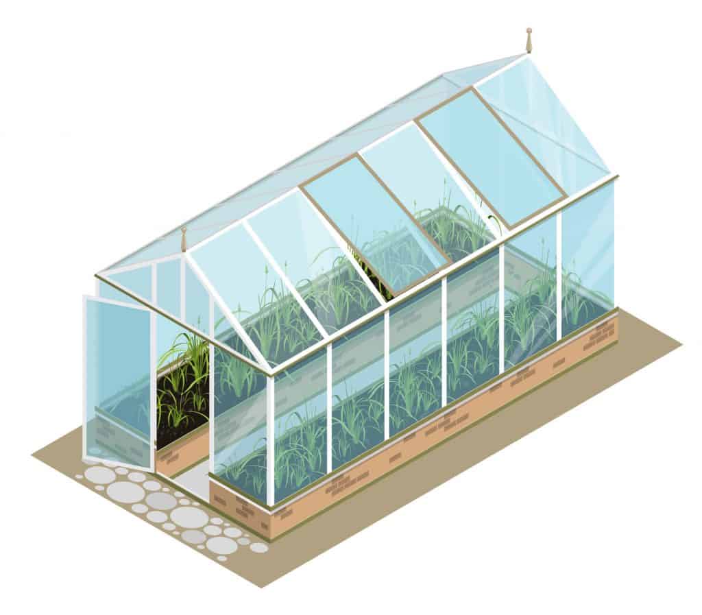 glass greenhouse