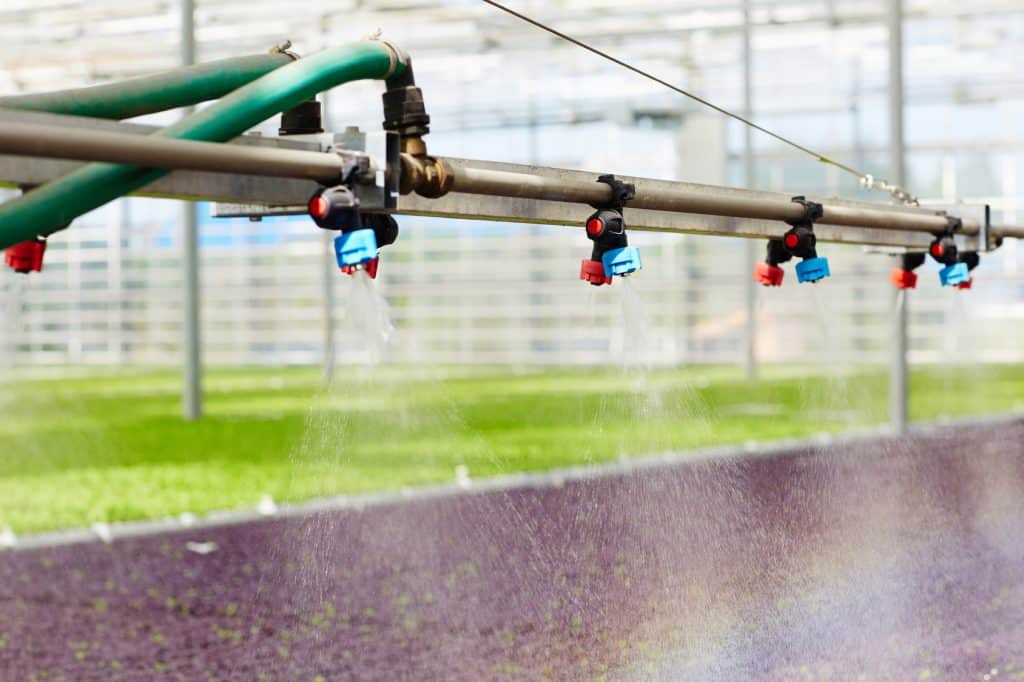 Best Greenhouse Watering System Greenhouse Irrigation 