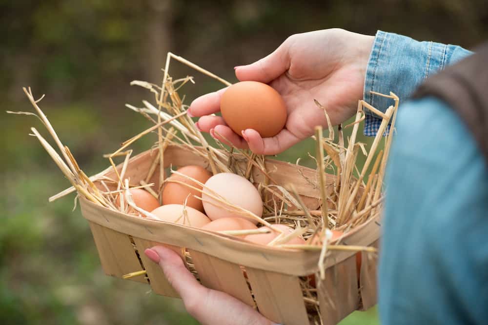 how long do fresh eggs last