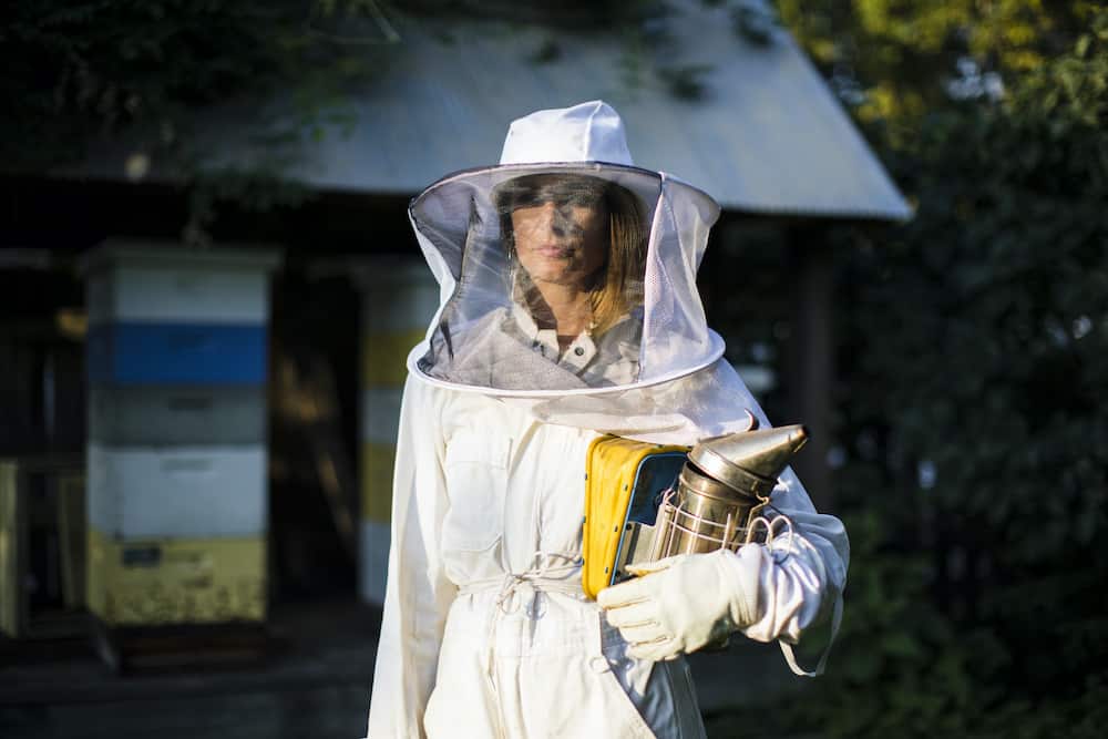 how to become a beekeeper