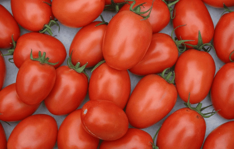 Roma tomatoes