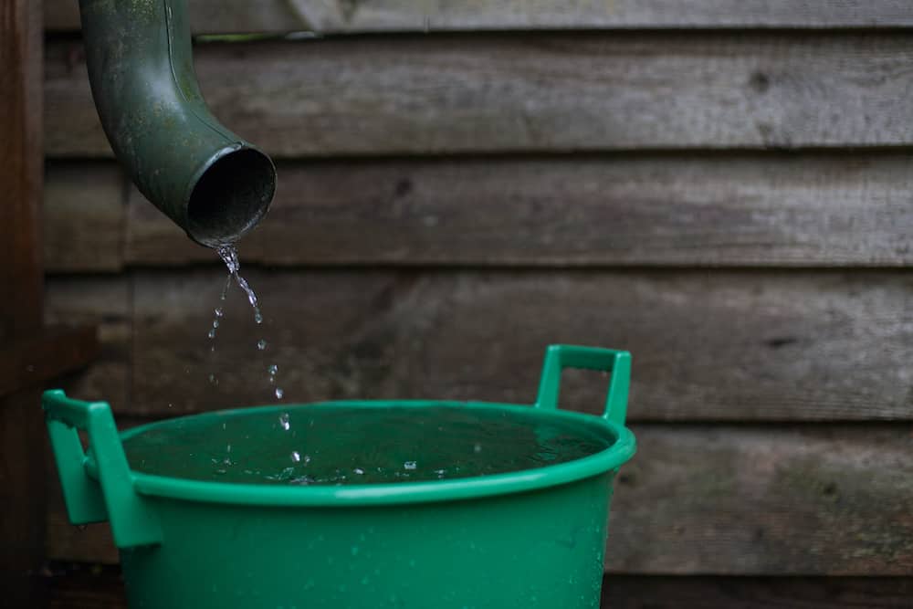 Is It Illegal To Collect Rainwater Know Your State Laws