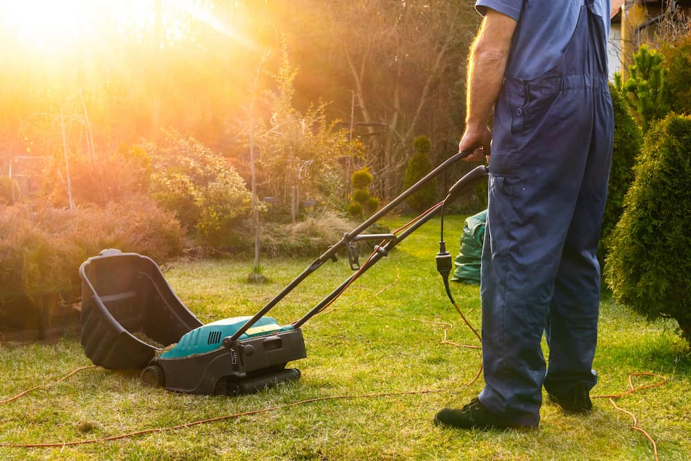 lawn aerator