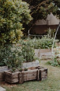 growing in raised garden beds pros cons